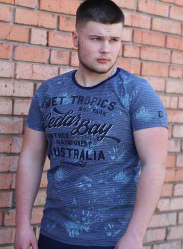 MZGZ  Футболка 635_blue stripe